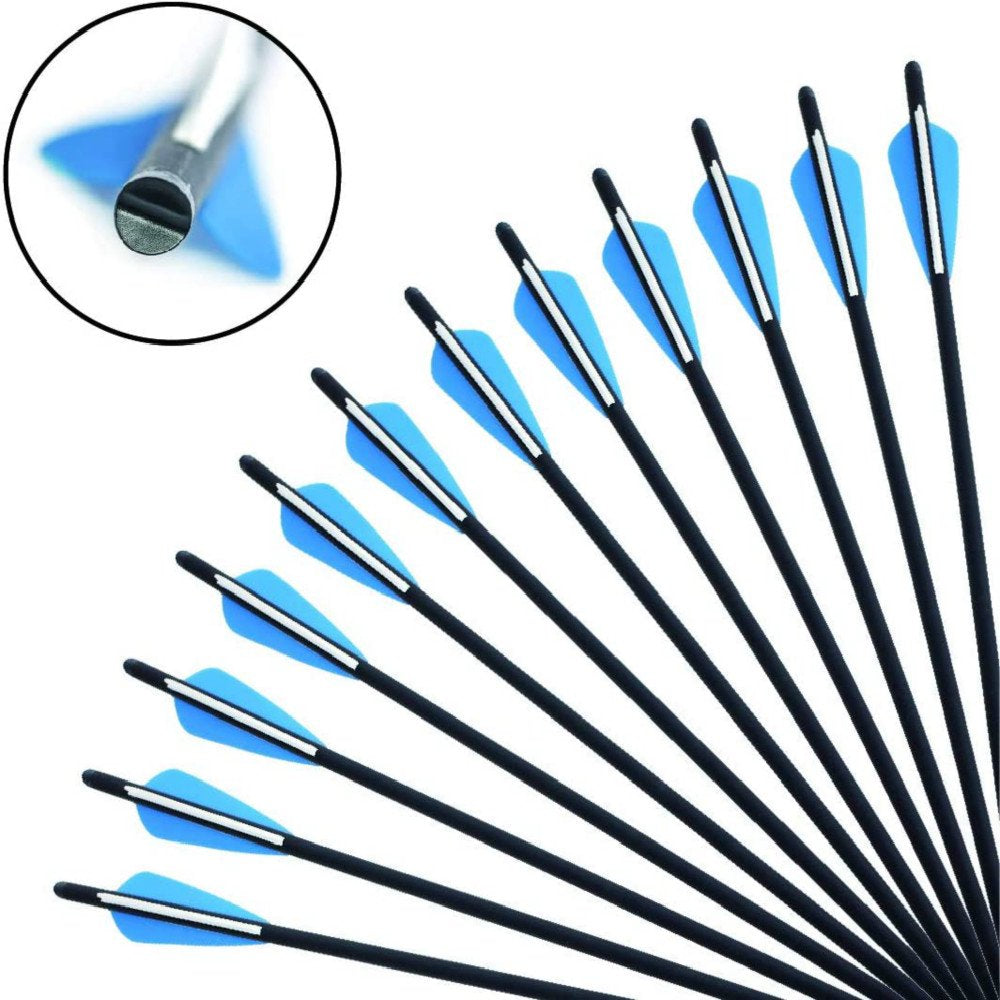 12PCS 20" Carbon Crossbow Bolts Hunting Arrows with 4" Vanes Replaceable Tips for Archery Practise Crossbow Arrows, Blue