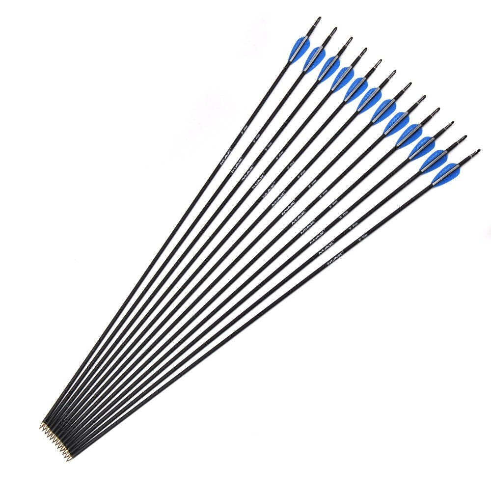 12Pcs 30" Carbon Arrows with 6Pcs Nocks and 6Pcs Fletchings Archery for Recurve/Compound Bow